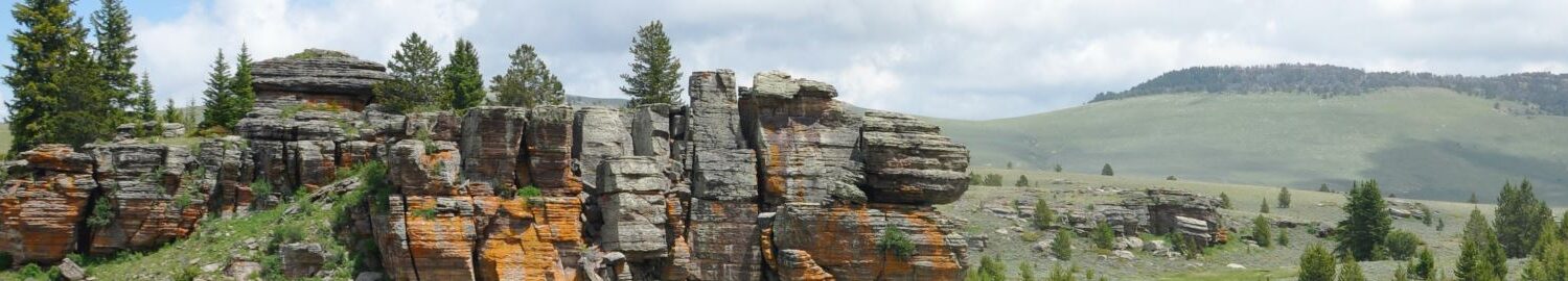 Read What Our Customers Are Saying Header