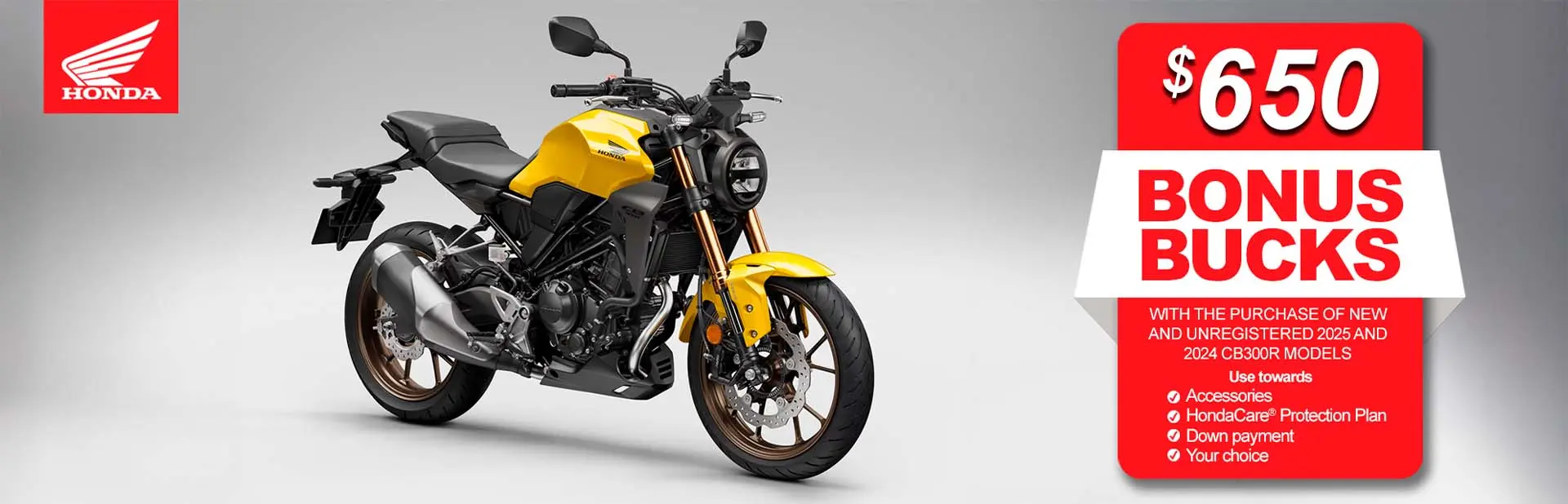 Read more about the article Bonus Bucks