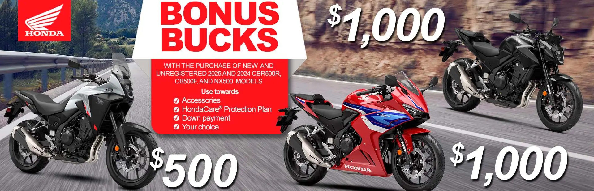 Read more about the article Bonus Bucks