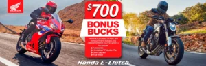 Read more about the article Bonus Bucks