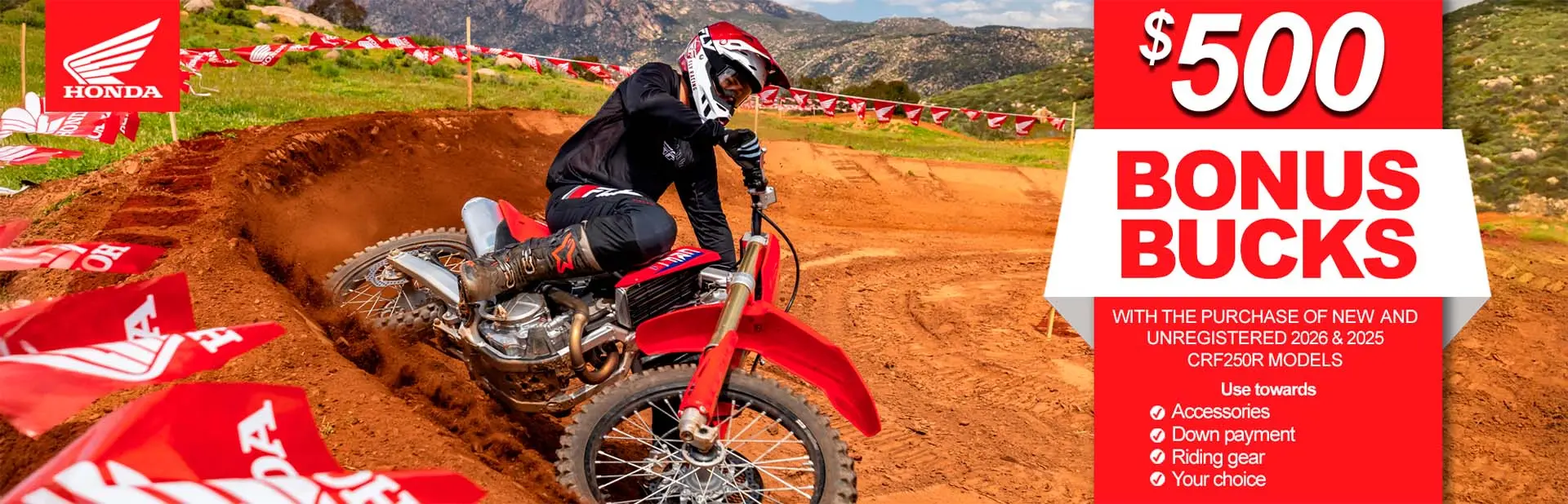 Read more about the article Bonus Bucks