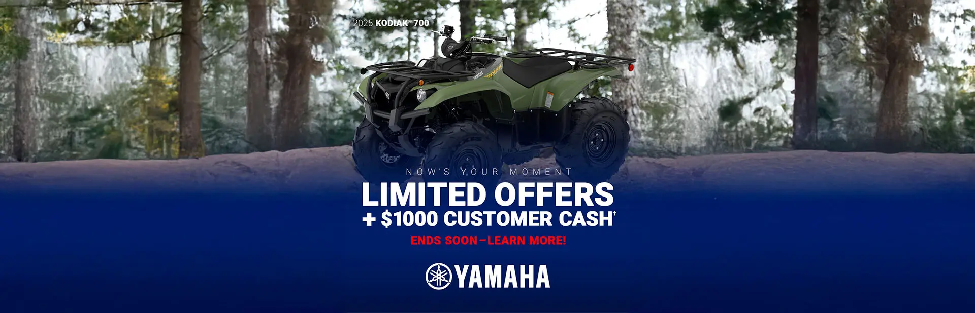 Read more about the article LIMITED TIME OFFERS ON ATV!