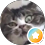 User Img